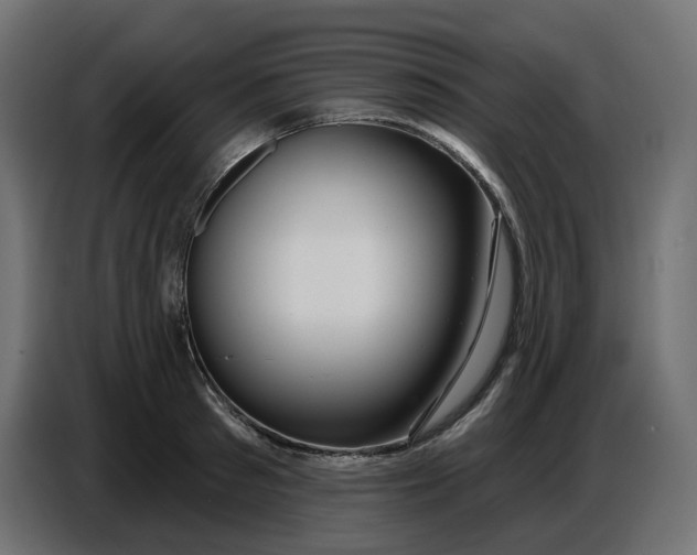 X0000086780897200705041526