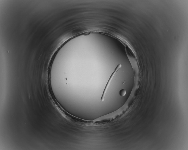 X0000086780898200705041526