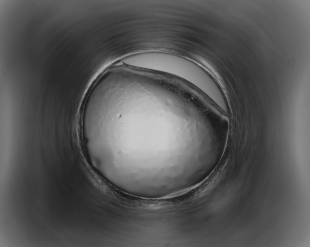 X0000086780899200705041526