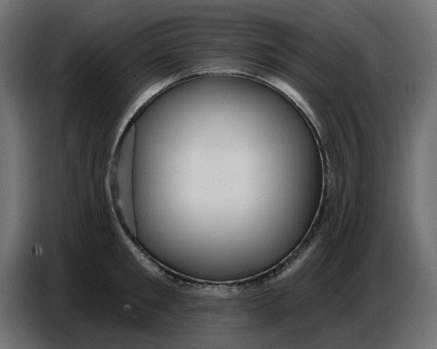 X0000086780901200705041526