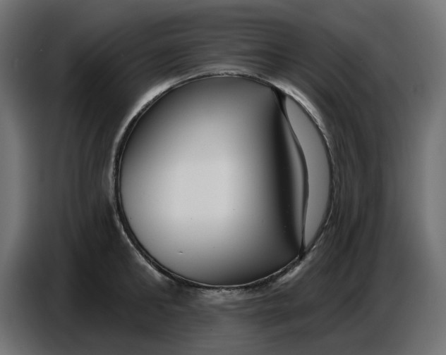 X0000086780902200705041526