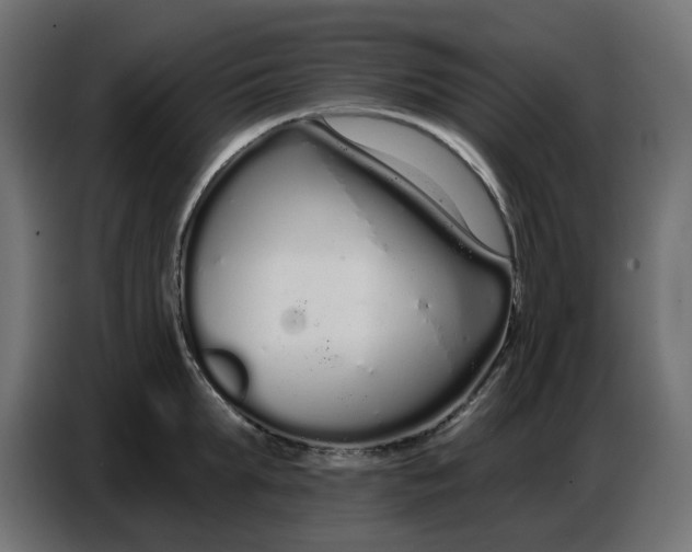 X0000086780903200705041526