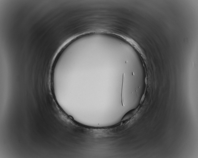 X0000086780904200705041525