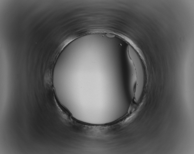 X0000086780905200705041525