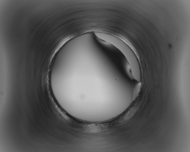 X0000086780906200705041525