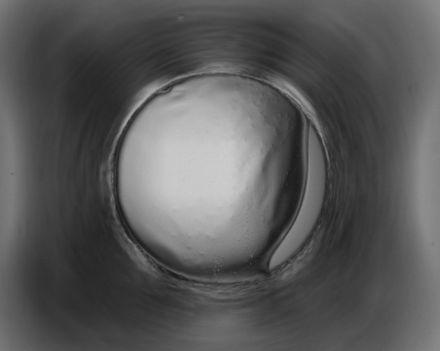 X0000086780907200705041525