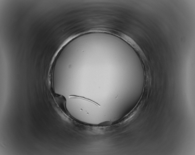 X0000086780908200705041525