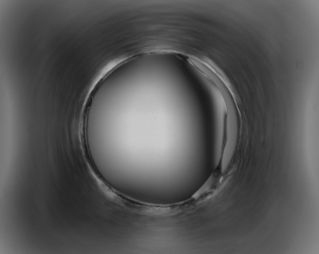 X0000086780909200705041525