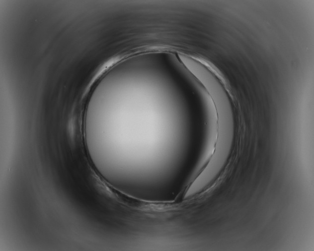 X0000086780910200705041525