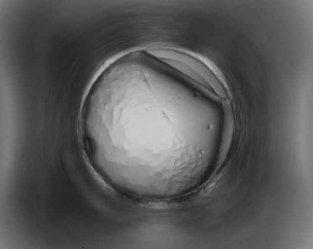 X0000086780911200705041525