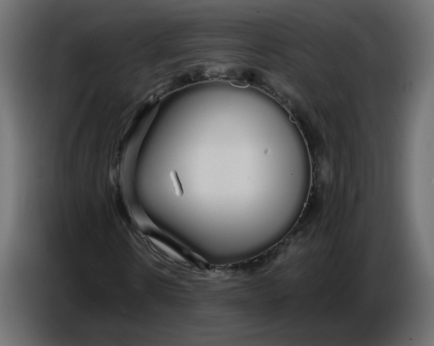 X0000086780914200705041525