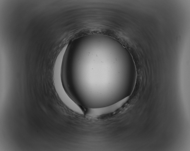 X0000086780916200705041525