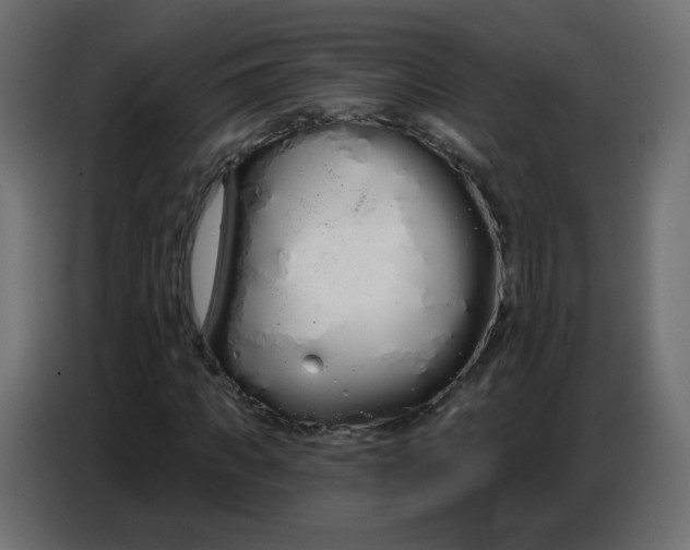 X0000086780917200705041525