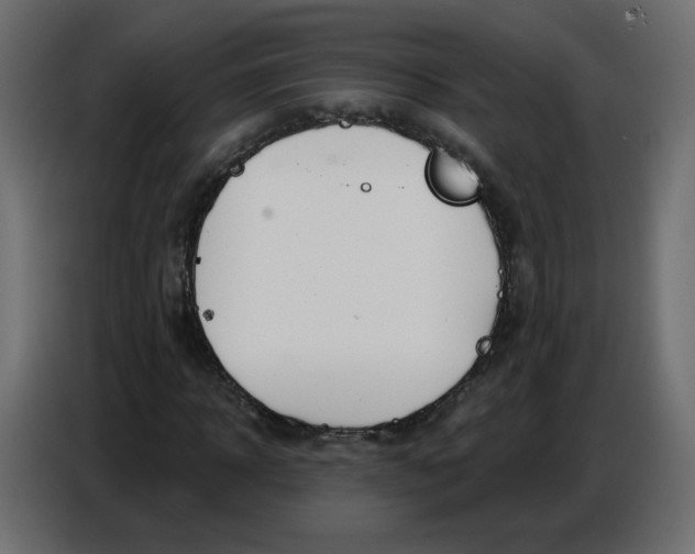 X0000086780918200705041525