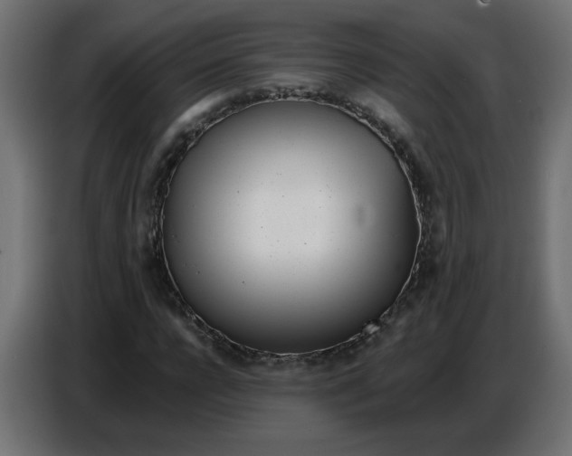 X0000086780920200705041525