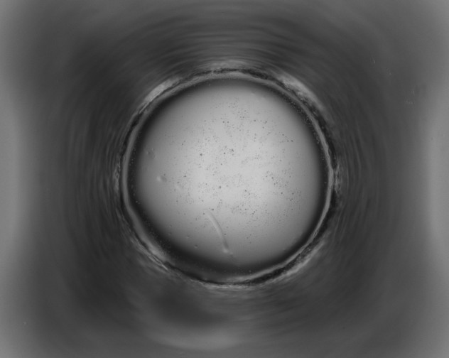 X0000086780921200705041525