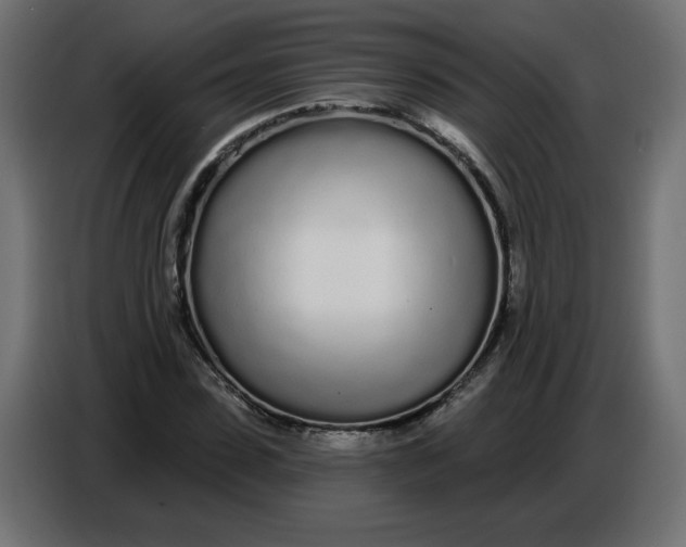 X0000086780923200705041525