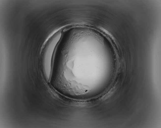 X0000086780925200705041525