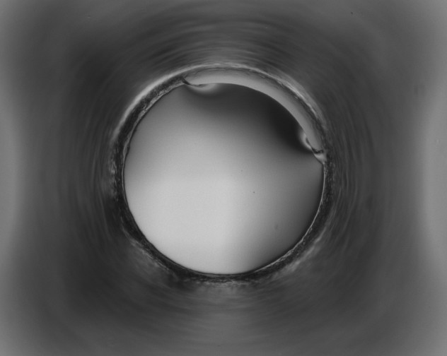 X0000086780926200705041525