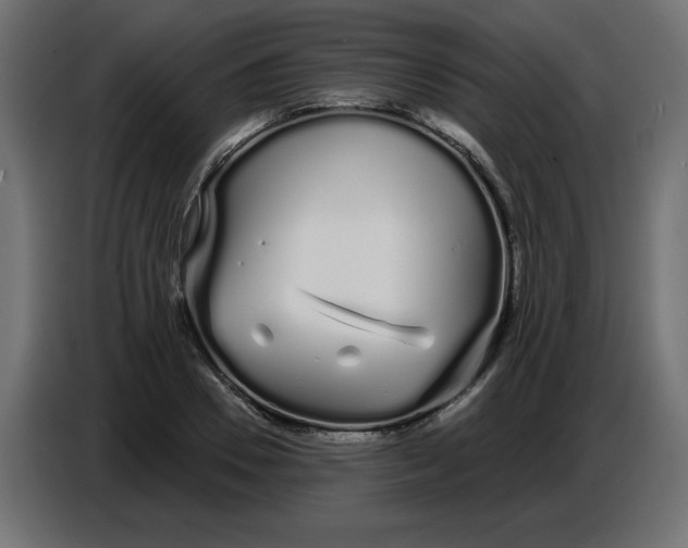 X0000086780930200705041525