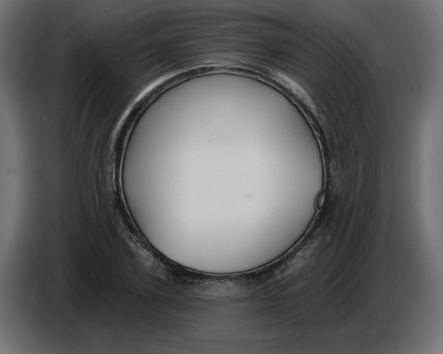 X0000086780931200705041525