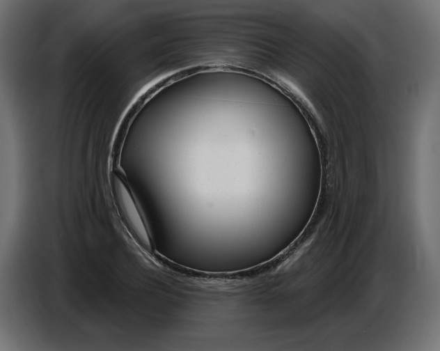 X0000086780932200705041525