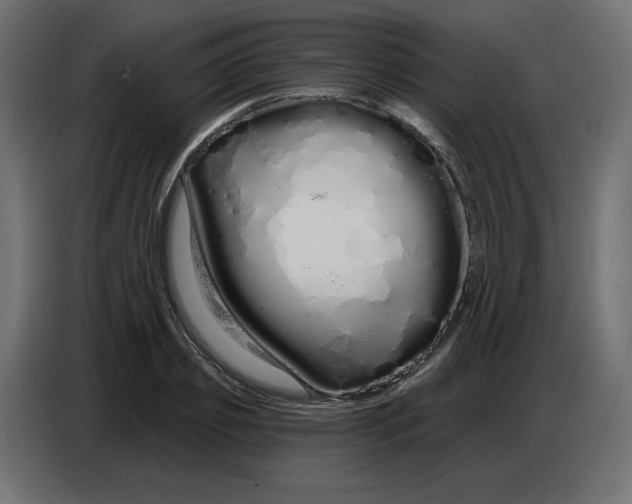 X0000086780933200705041525