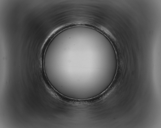 X0000086780934200705041525