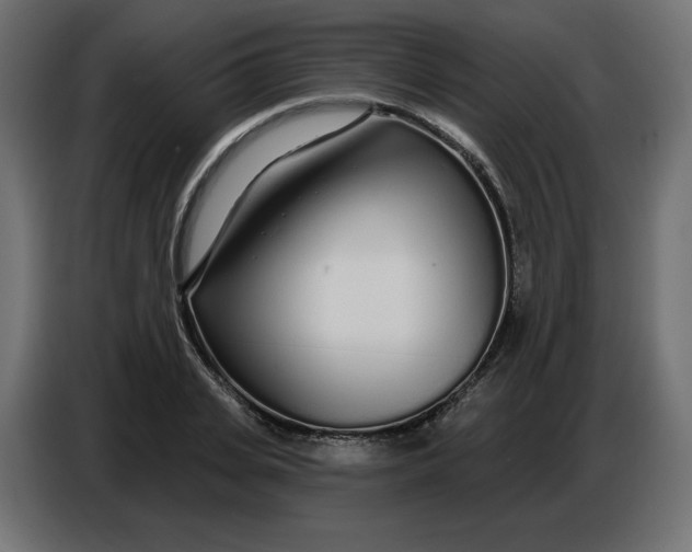 X0000086780935200705041525