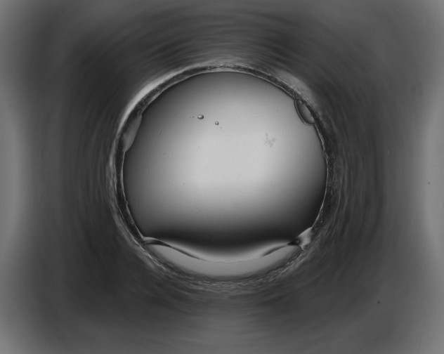 X0000086780936200705041525