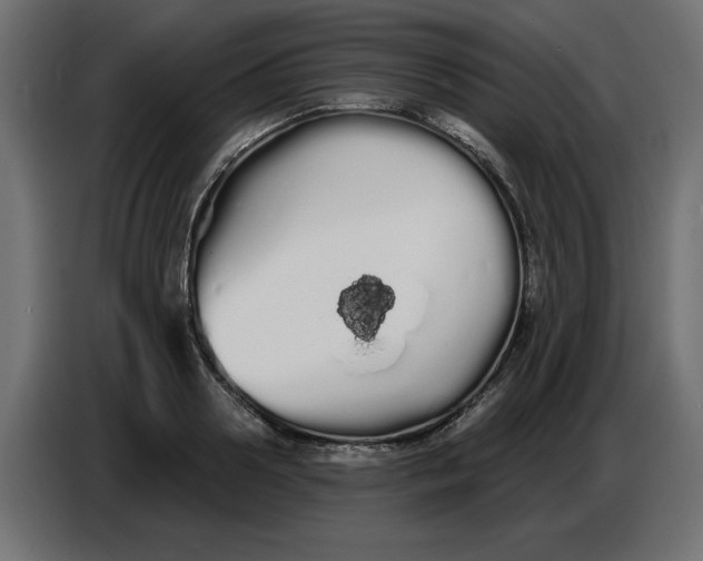 X0000086780938200705041525