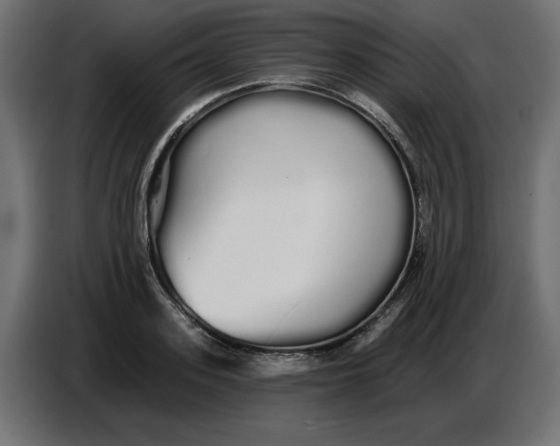 X0000086780939200705041525