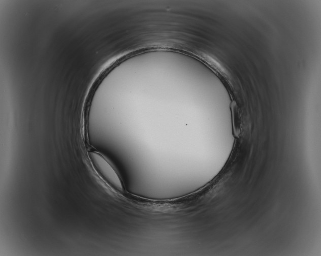 X0000086780940200705041525