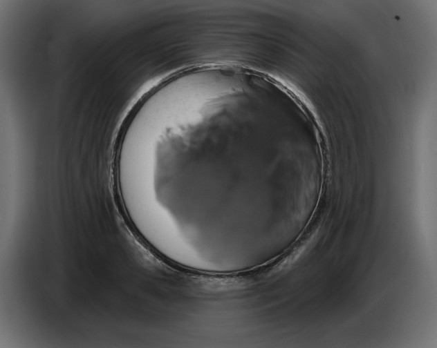 X0000086780941200705041525