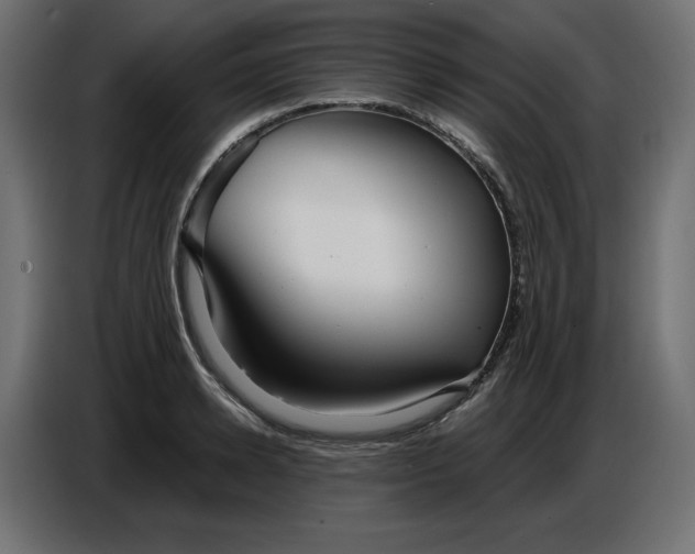 X0000086780942200705041525