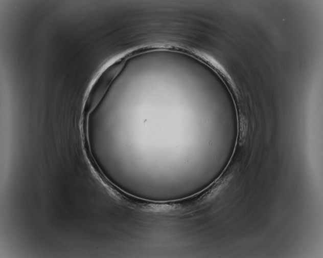 X0000086780943200705041525