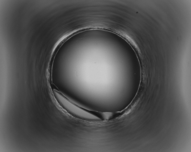 X0000086780944200705041525