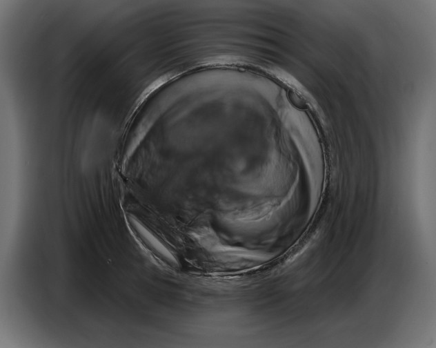 X0000086780945200705041525