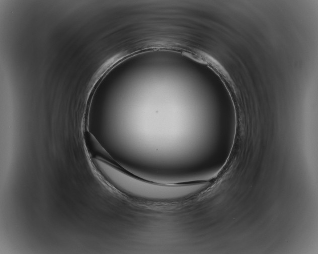 X0000086780946200705041525