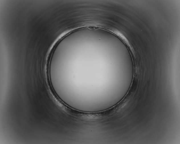 X0000086780947200705041525