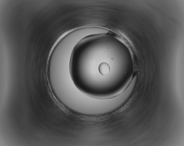 X0000086780948200705041525