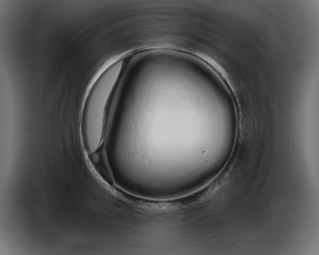 X0000086780949200705041525