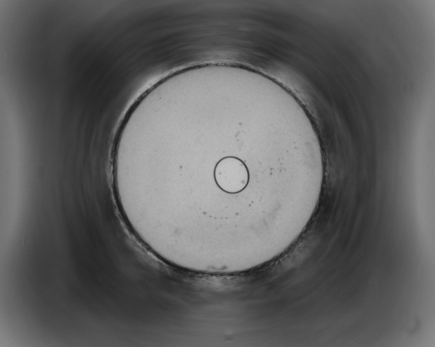 X0000086780950200705041525