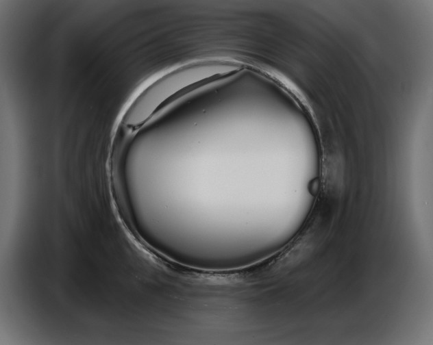 X0000086780951200705041525