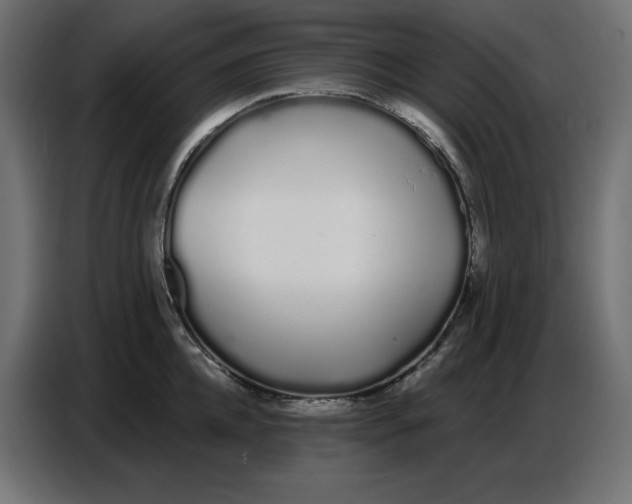 X0000086780952200705041525