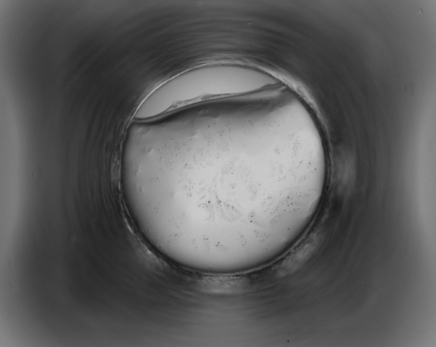 X0000086780953200705041525