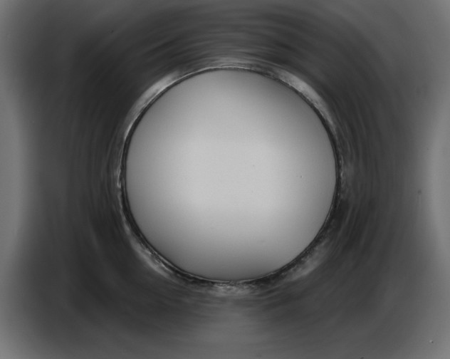 X0000086780954200705041525