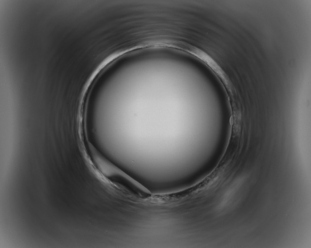 X0000086780955200705041525