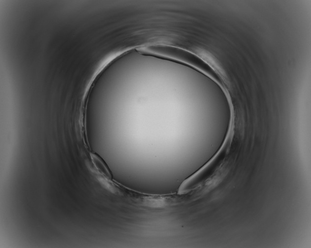 X0000086780956200705041525