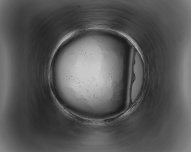 X0000086780957200705041525